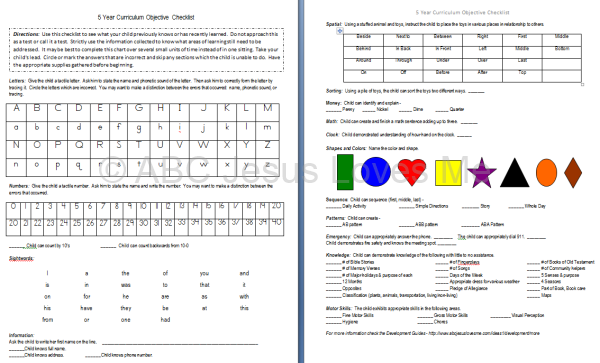 5 Year Objective Checklist