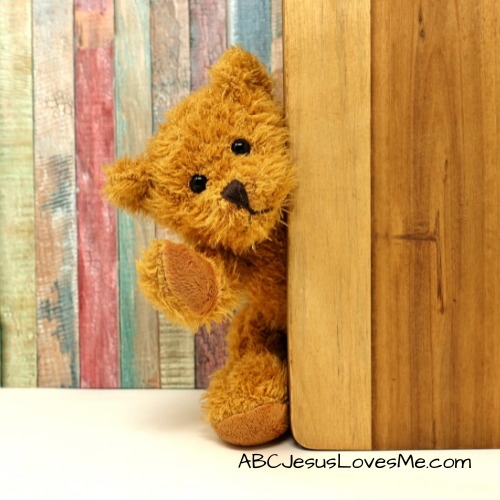 Stuffed Animal Bear Hiding Game