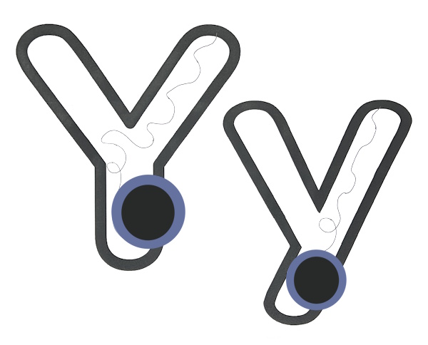 Yo Yo Letter Y Poster